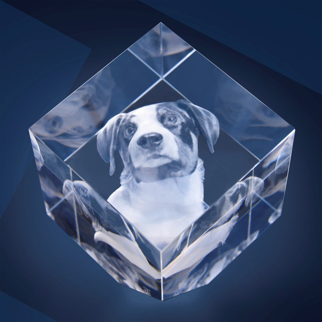 3D Glasfoto - PRECIOUS